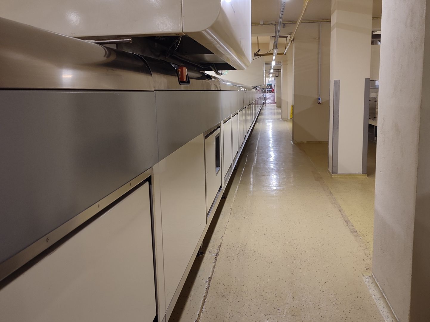 Backvorgang Im Ofen erhalten die Kekse ihre typische Knusprigkeit